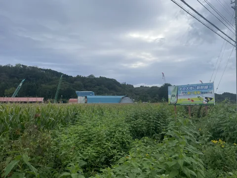 八雲周回 新八雲駅予定地