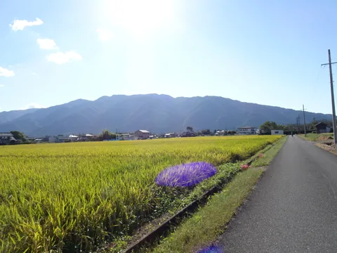 羽島・養老 16.0km地点
