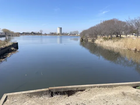 北鴻巣から足利 近藤沼