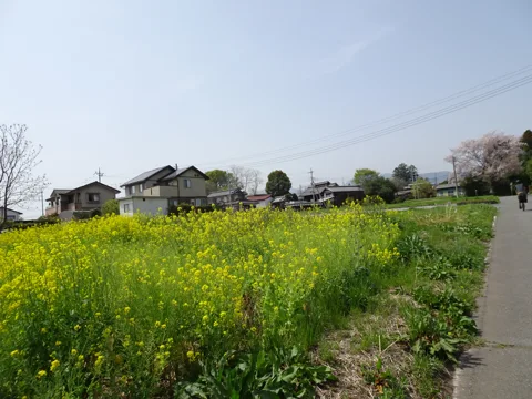 高崎から前橋 14.0km地点