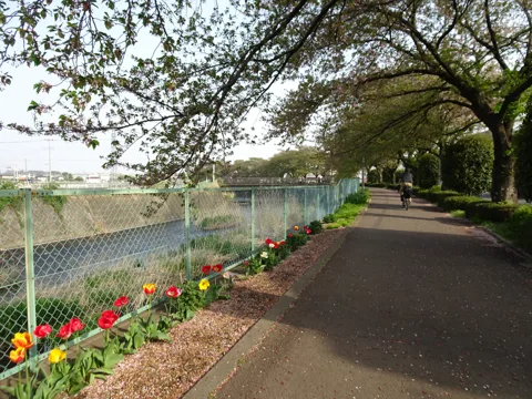 高崎から前橋 前橋市荒牧町