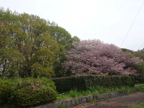 前橋から赤城 10.0km地点
