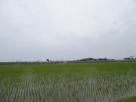 相馬から鳥の海 66.0km地点