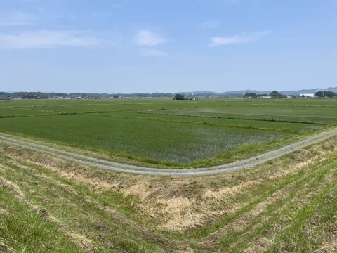 相馬から鳥の海 42.0km地点