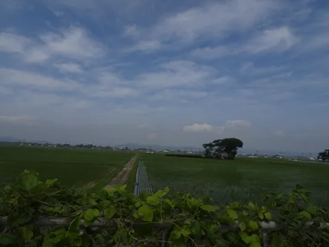 鳥の海から仙台空港 岩沼市早股