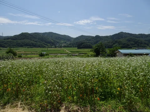 飯坂温泉から白石蔵王 白石市越河