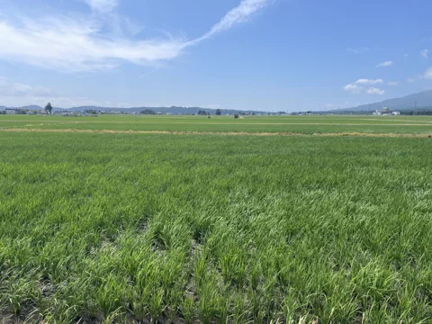 猪苗代から東山温泉 猪苗代町堅田