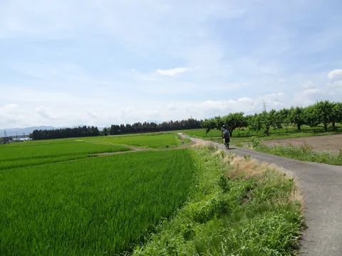 東山温泉から会津若松 28.0km地点