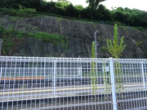 諫早から道ノ尾 諫早市多良見町舟津