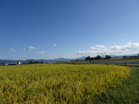 磐梯町駅から会津若松 20.0km地点