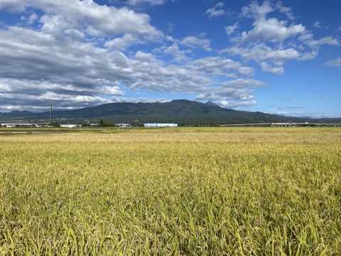 磐梯町駅から会津若松 湯川村浜崎