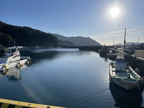 鶴御崎 佐伯市米水津浦代浦