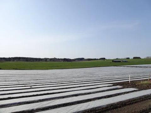 八戸から三沢 19.0km地点