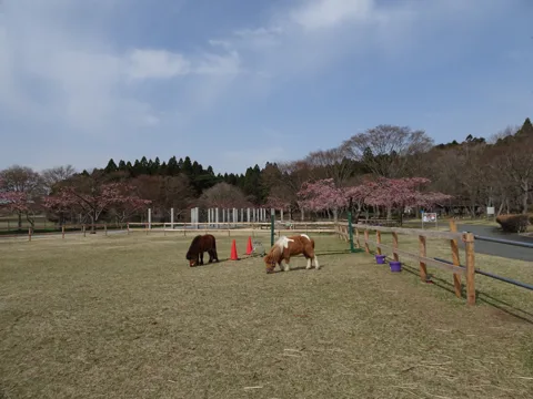 六ケ所村 道の駅みさわ