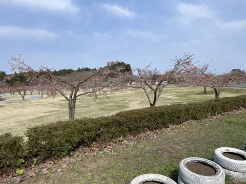 六ケ所村 三沢市谷地頭