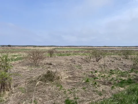 六ケ所村 三沢市三沢