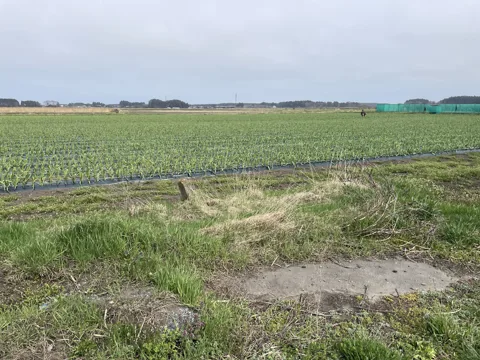 六ケ所村 三沢市三沢