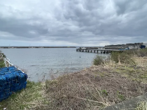 野辺地から浅虫温泉 口広