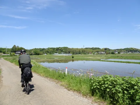 物井から印西・四街道 佐倉市羽鳥