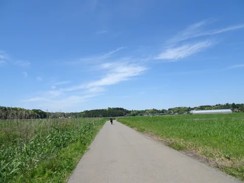 物井から印西・四街道 佐倉市飯重