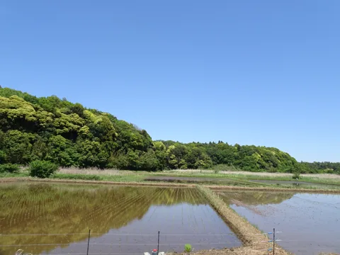物井から印西・四街道 印西市吉田