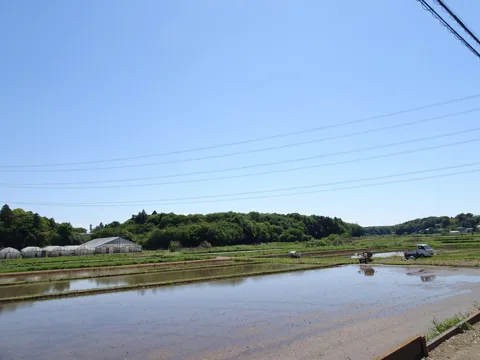 物井から印西・四街道 佐倉市青菅