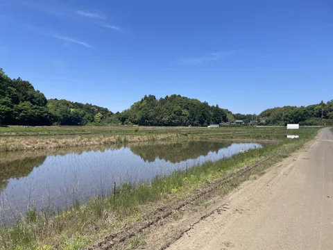 物井から印西・四街道 13.0km地点