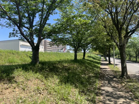 物井から印西・四街道 17.0km地点
