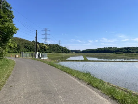 物井から印西・四街道 38.0km地点