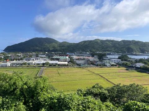 八代と甑島3 亀城跡