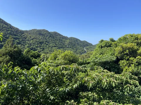 八代と甑島3 44.0km地点