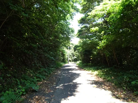 八代と甑島4 28.0km地点