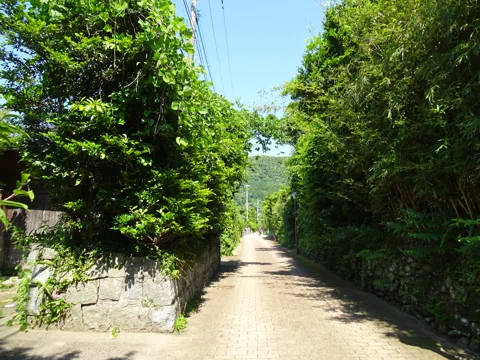 八代と甑島4 48.0km地点