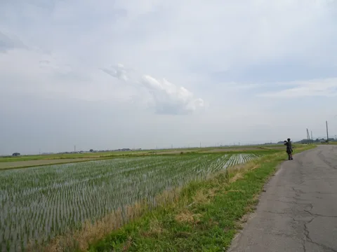 鶴岡2 鶴岡市幕野内
