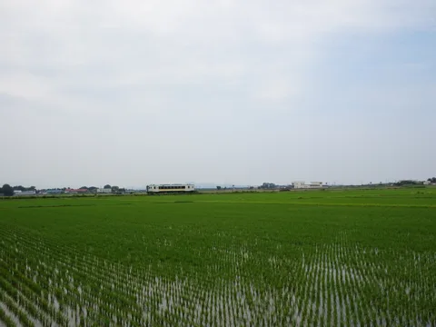鶴岡2 庄内町小出新田