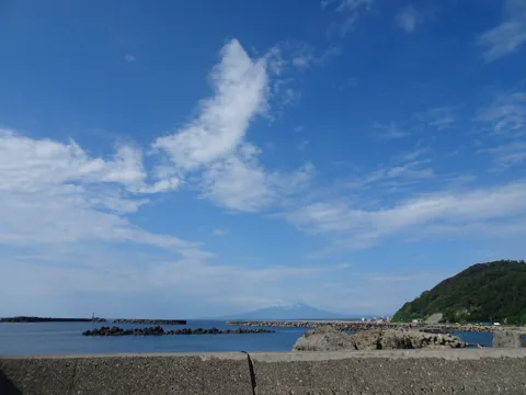 鶴岡2 加茂水族館