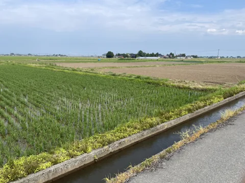 鶴岡2 鶴岡市楪