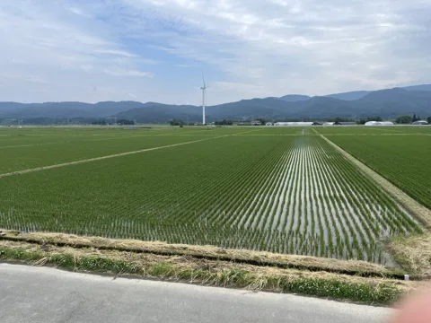 鶴岡2 道の駅しょうない
