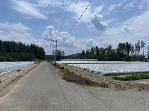 鶴岡2 鶴岡市辻興屋