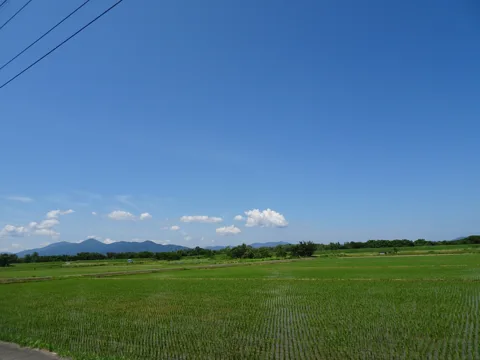鶴岡3 19.0km地点
