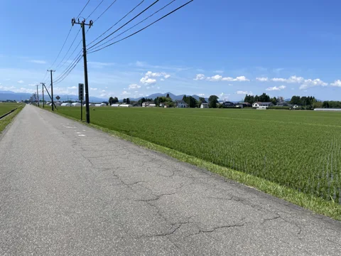 鶴岡3 17.5km地点
