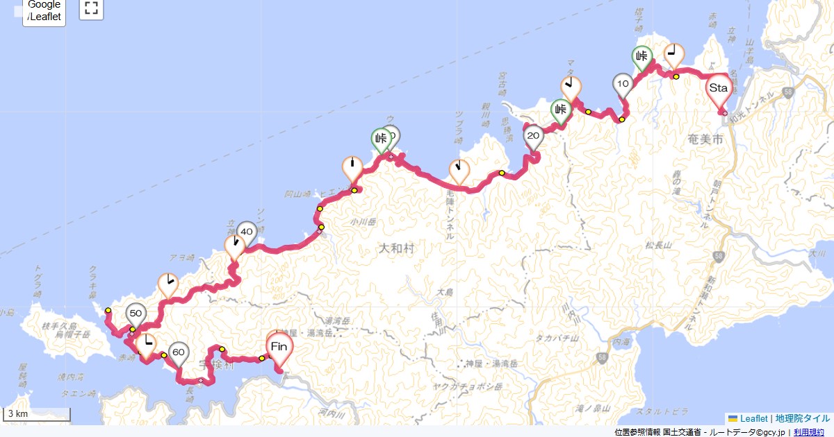 名瀬から宇検ホテルニュー奄美,丸太旅館,サイクリング,地図,記録,自転車