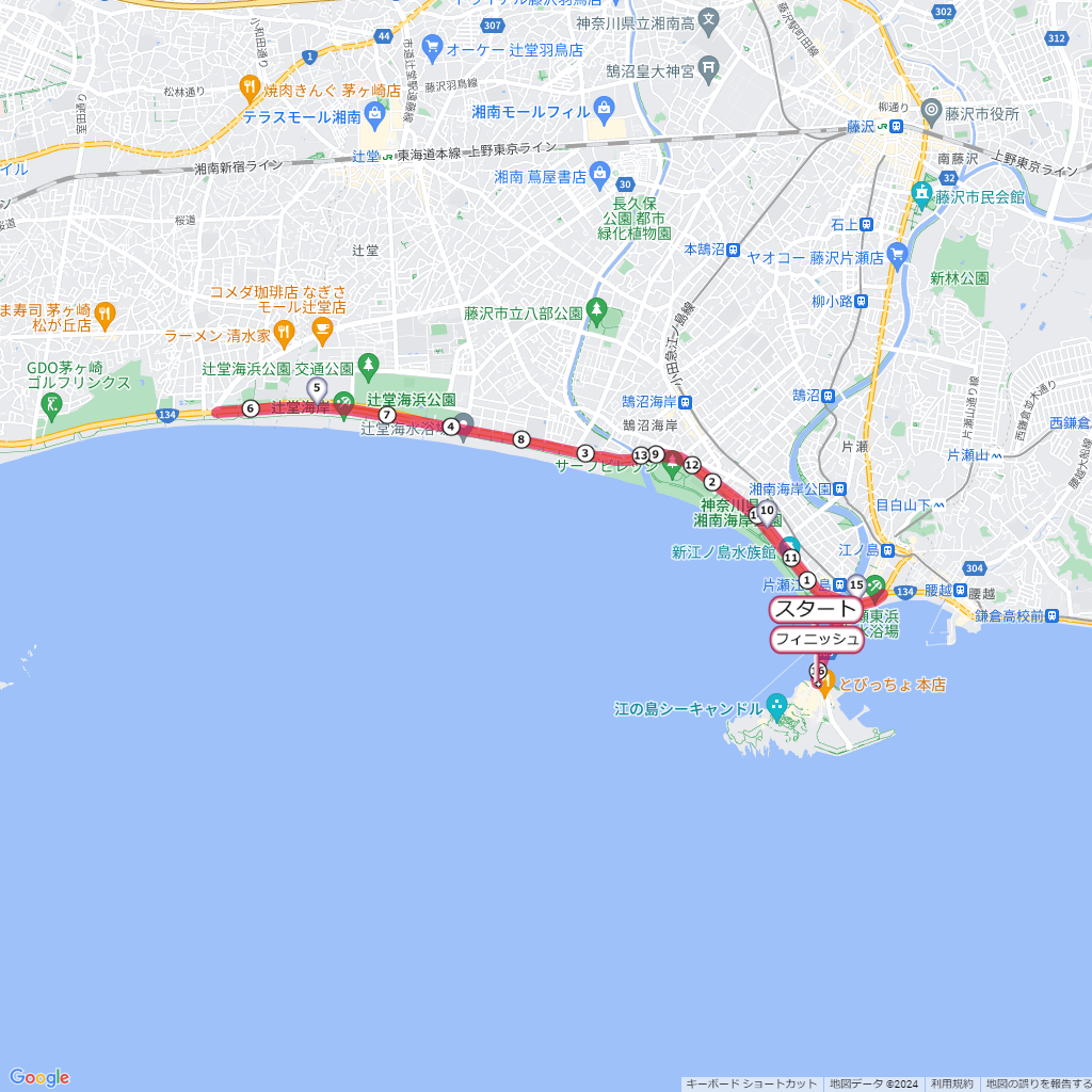 湘南藤沢市民マラソン,コース,地図,マップ,距離とタイム,高低差