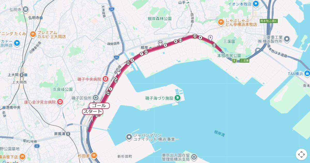 神奈川マラソンのコースを地図で表示