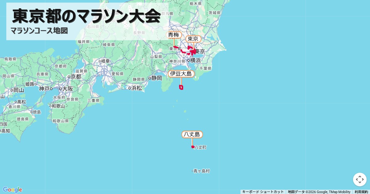 東京都のマラソン大会のコースを地図で表示