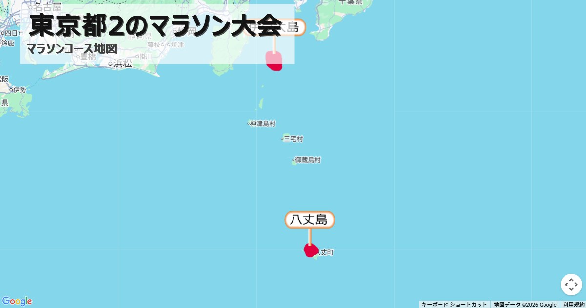東京都2のマラソン大会のコースを地図で表示