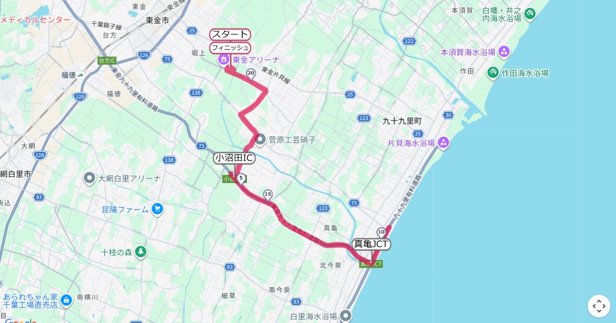 東金九十九里波乗りマラソンのコースを地図で表示